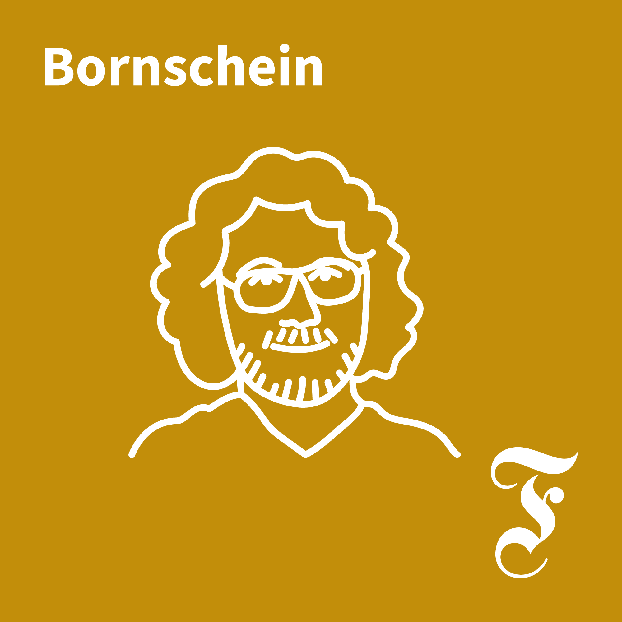 Cover: FAZ - BORNSCHEIN